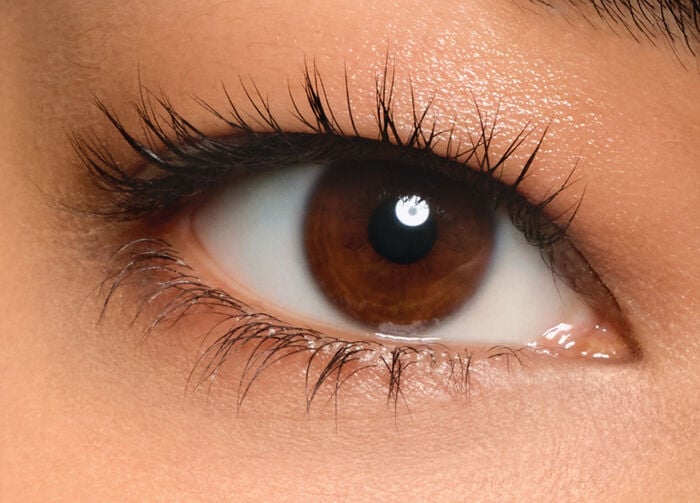 Notorious Mascara, 